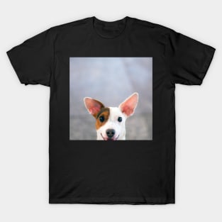 Happy dog looking at camera T-Shirt